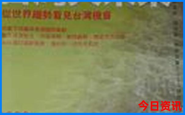 8月份带娃旅游适合去哪里